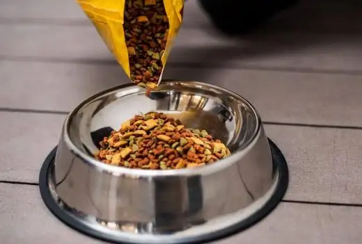 Pet Food